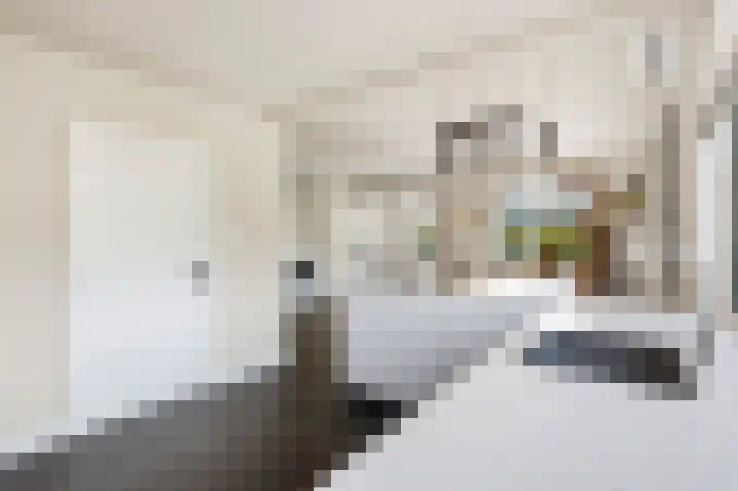 van Elswijckstraat 2 Boxmeer thumbnail 15