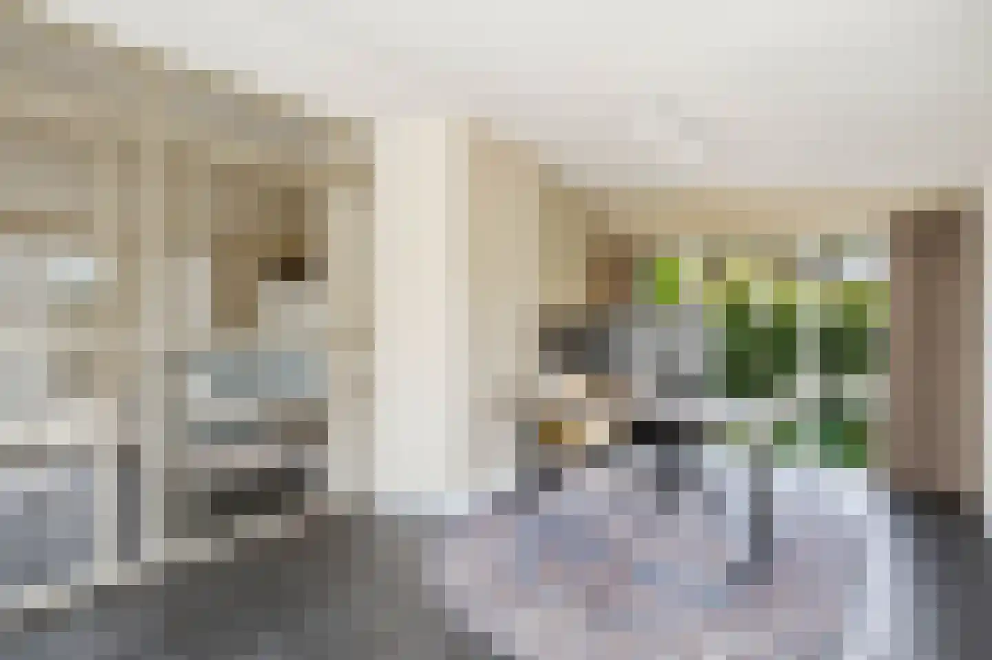 van Elswijckstraat 2 Boxmeer thumbnail 16