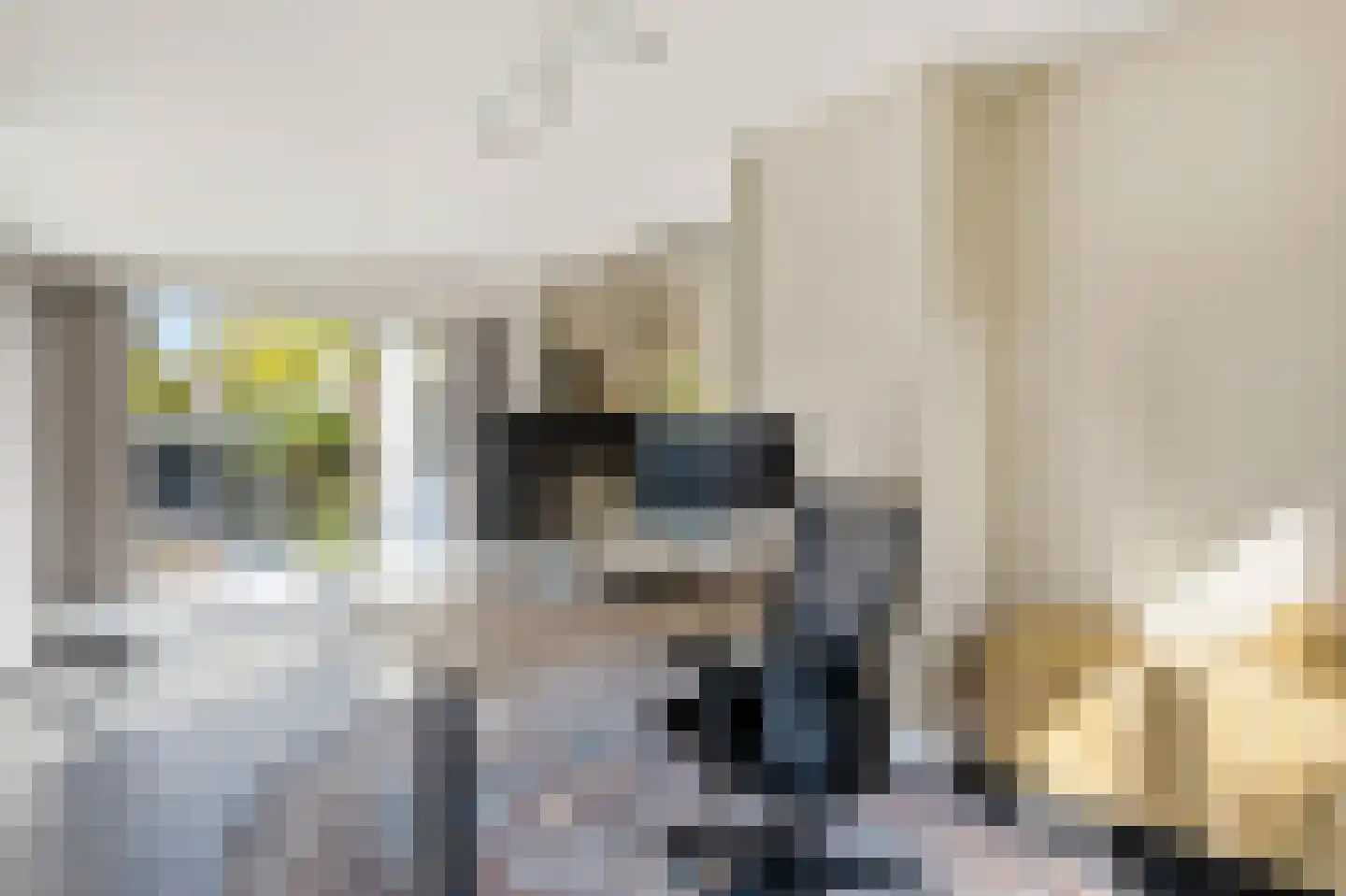 van Elswijckstraat 2 Boxmeer thumbnail 17