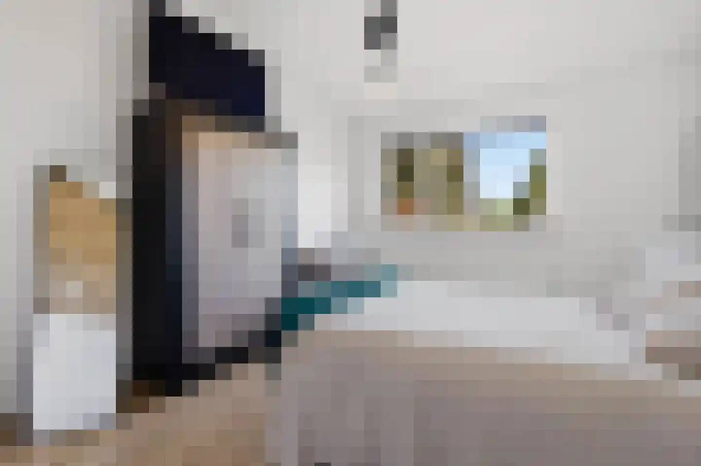 van Elswijckstraat 2 Boxmeer thumbnail 21