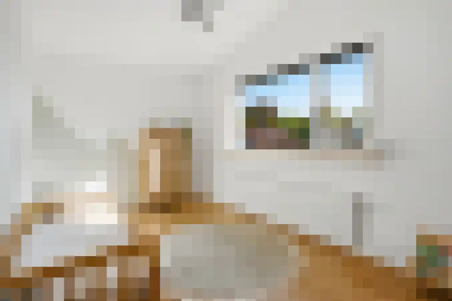 van Elswijckstraat 2 Boxmeer thumbnail 29