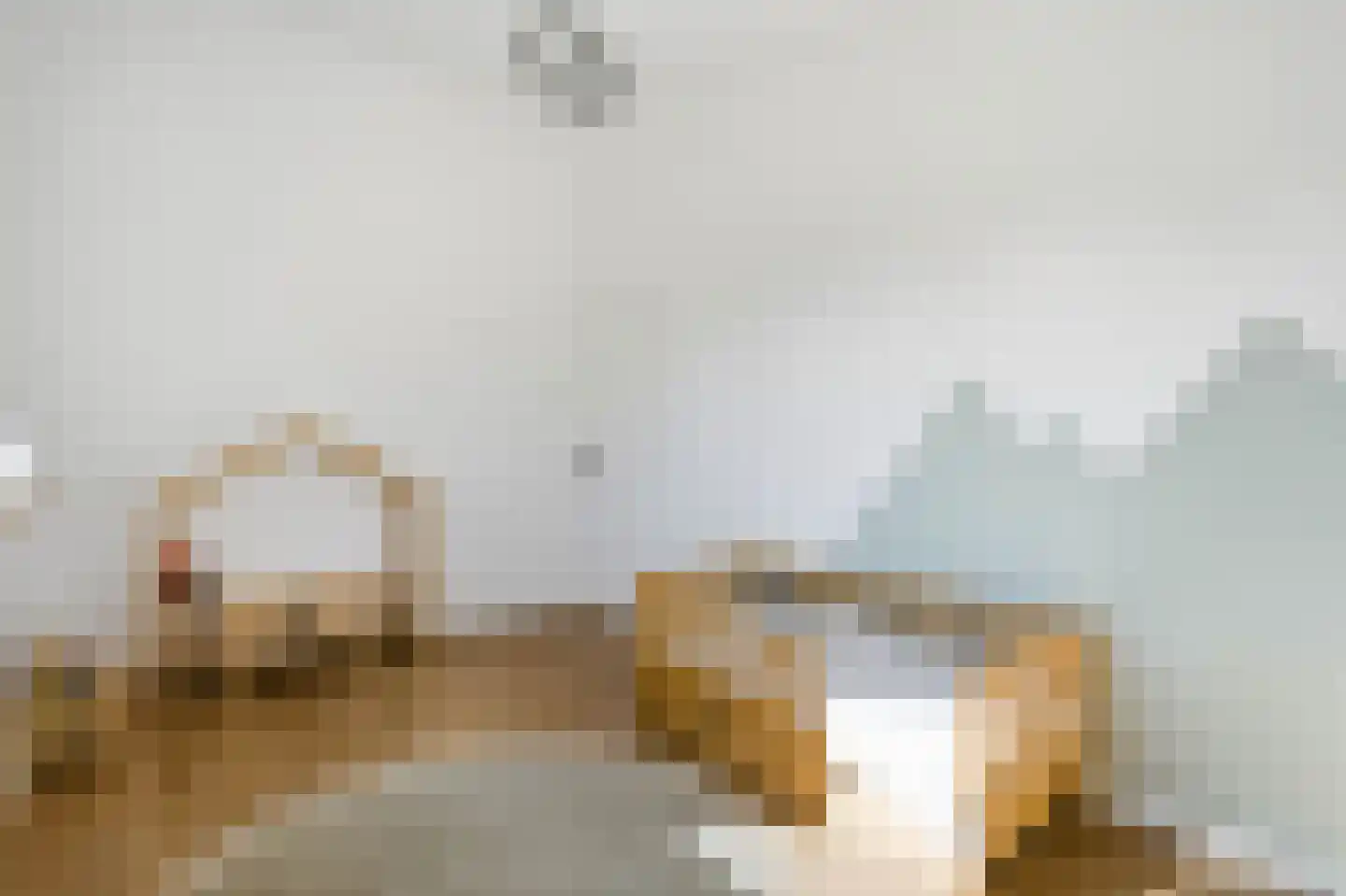 van Elswijckstraat 2 Boxmeer thumbnail 30