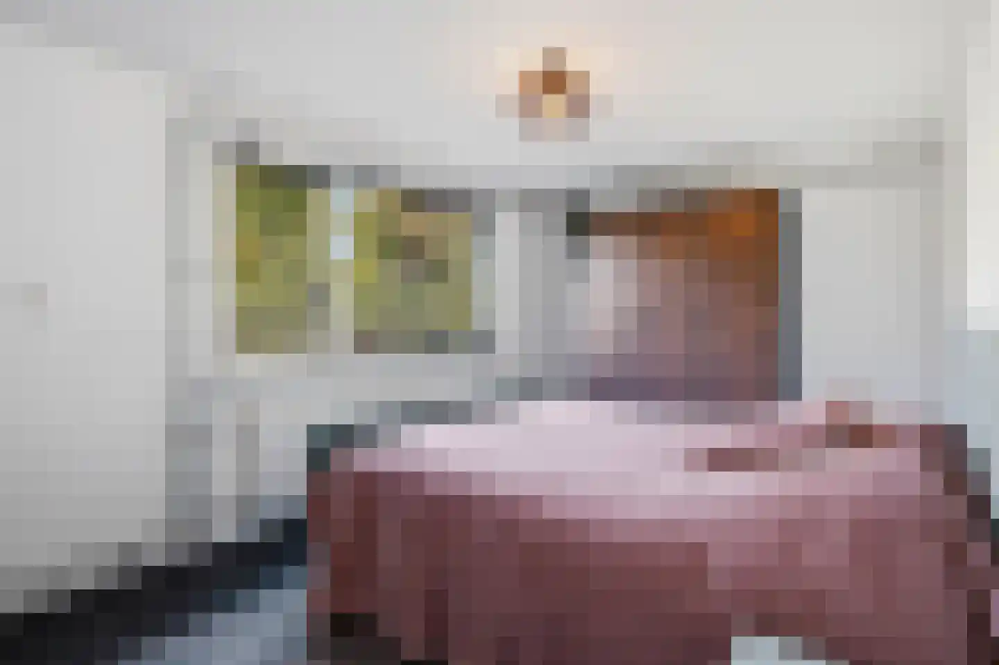 van Elswijckstraat 2 Boxmeer thumbnail 31