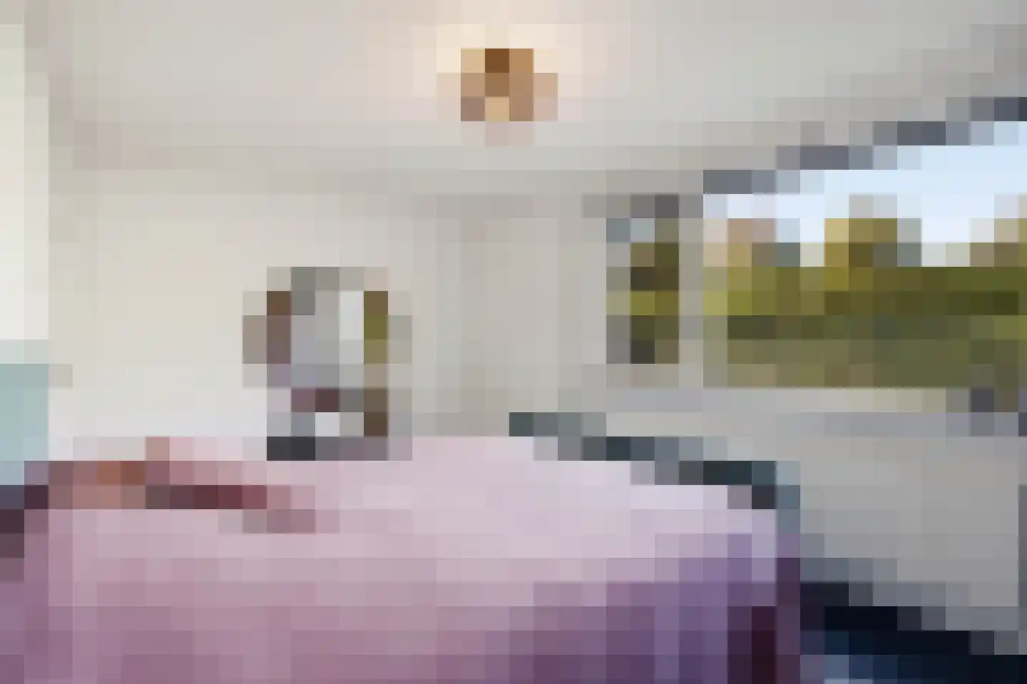 van Elswijckstraat 2 Boxmeer thumbnail 33
