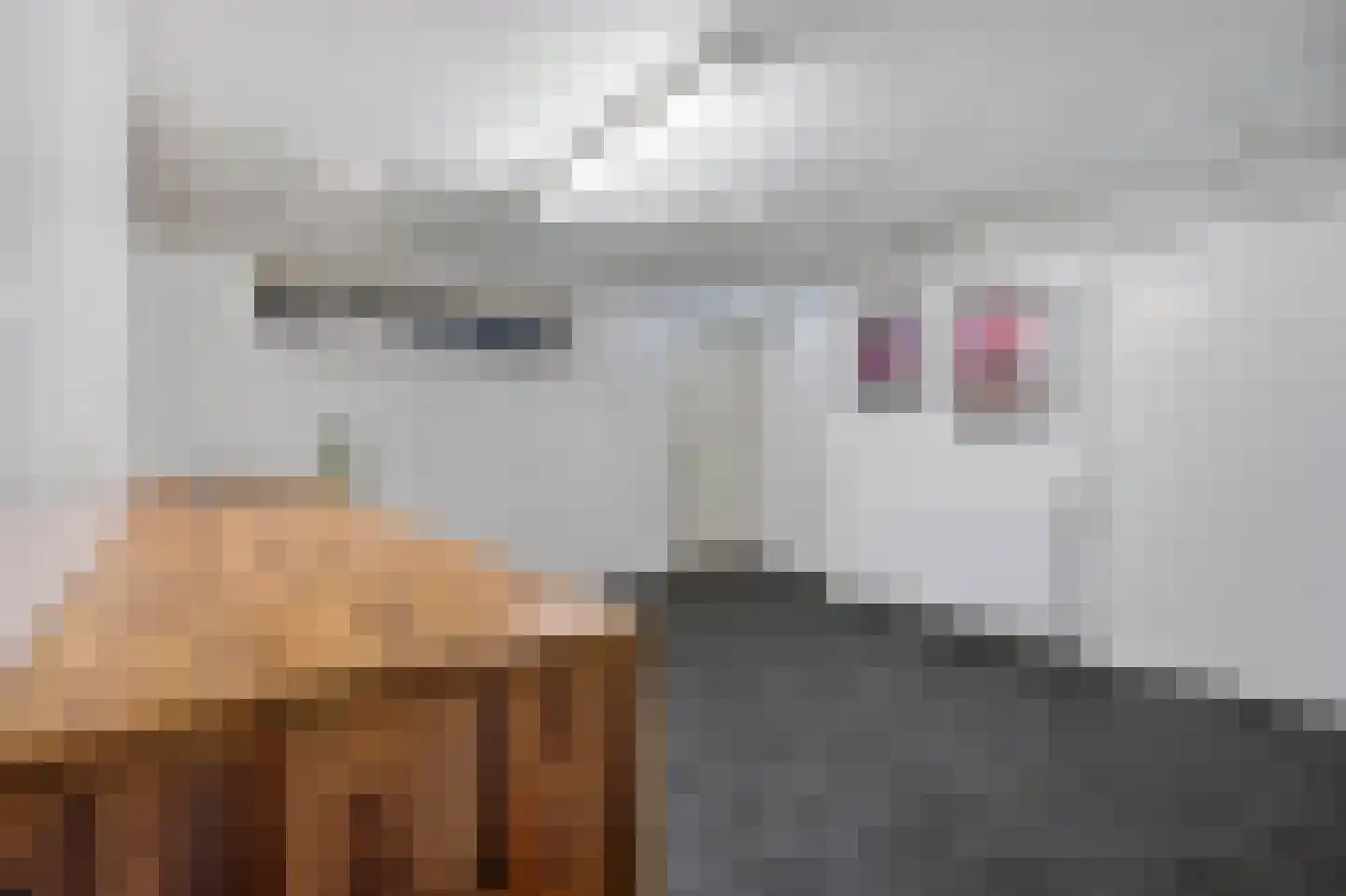 van Elswijckstraat 2 Boxmeer thumbnail 34