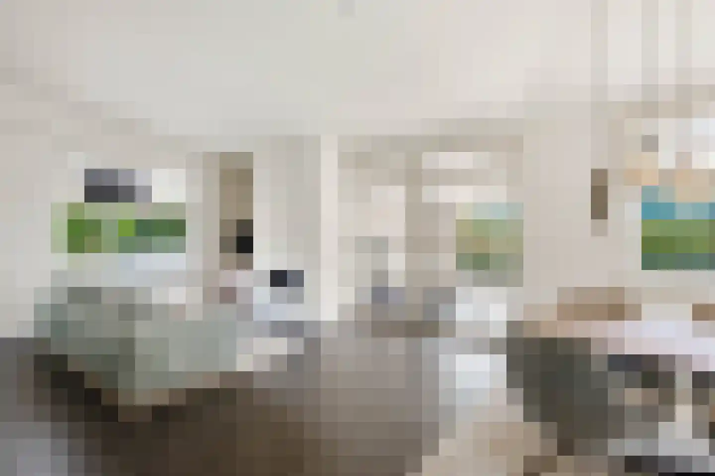 van Elswijckstraat 2 Boxmeer thumbnail 4