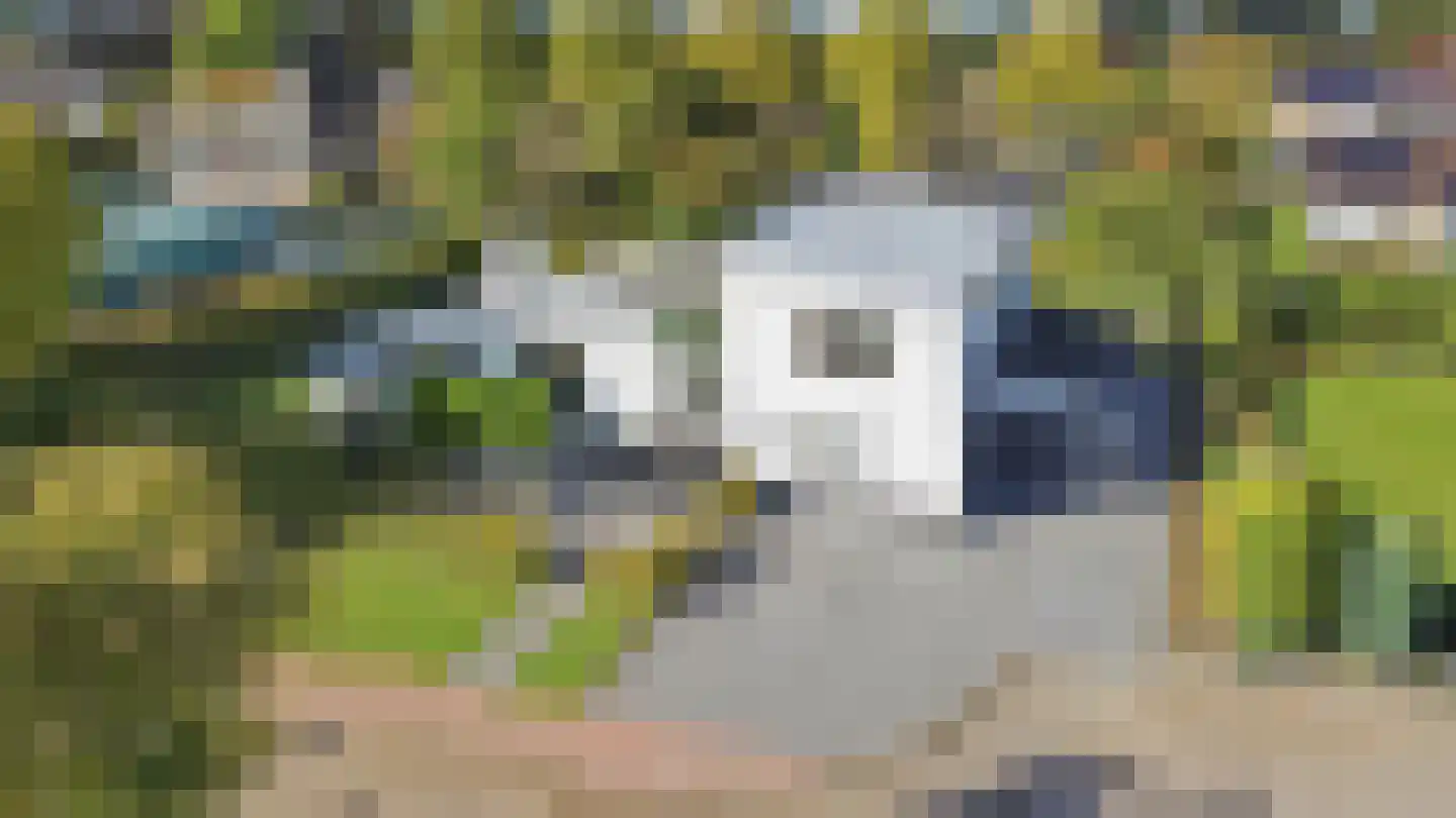 van Elswijckstraat 2 Boxmeer thumbnail 49