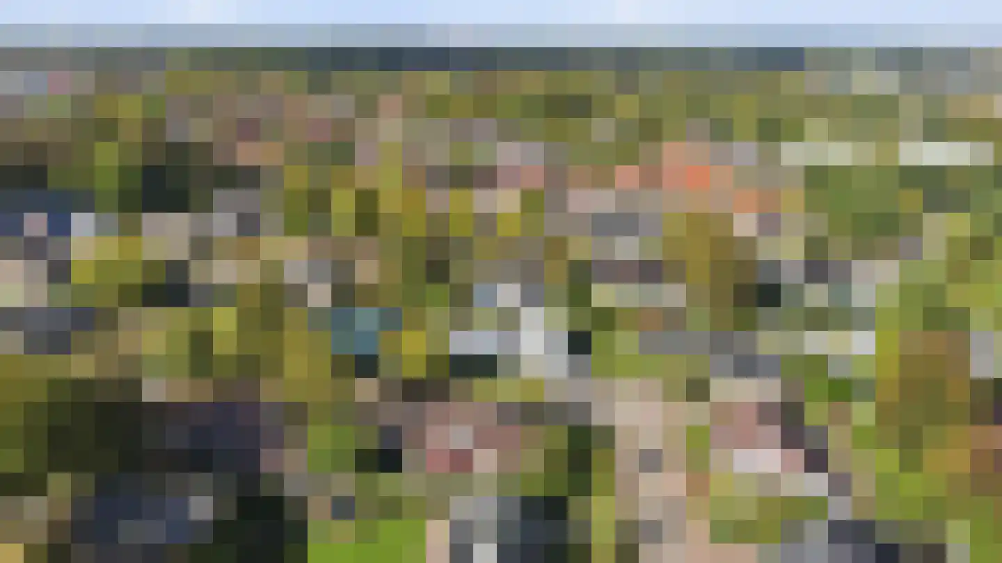 van Elswijckstraat 2 Boxmeer thumbnail 55