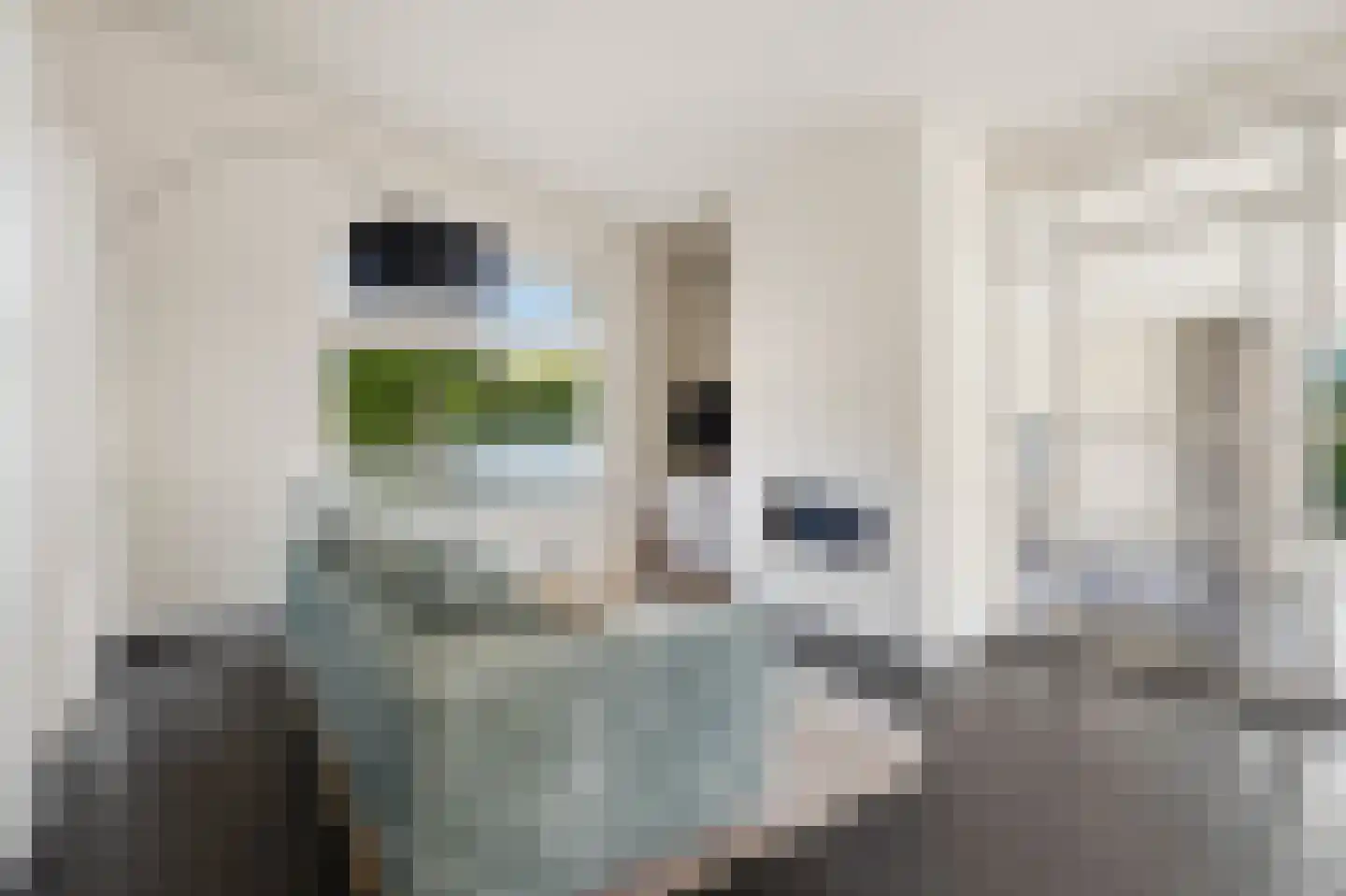 van Elswijckstraat 2 Boxmeer thumbnail 6