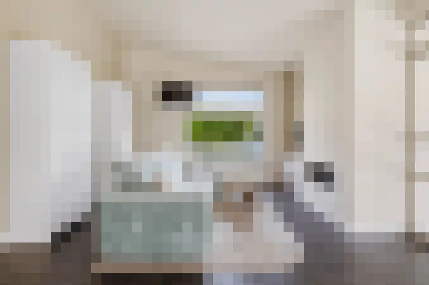 van Elswijckstraat 2 Boxmeer thumbnail 7