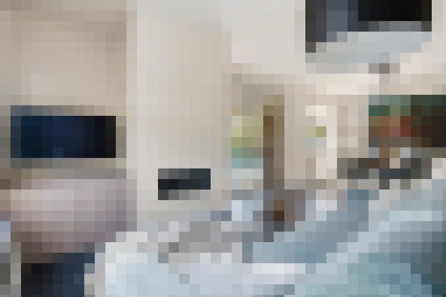 van Elswijckstraat 2 Boxmeer thumbnail 8