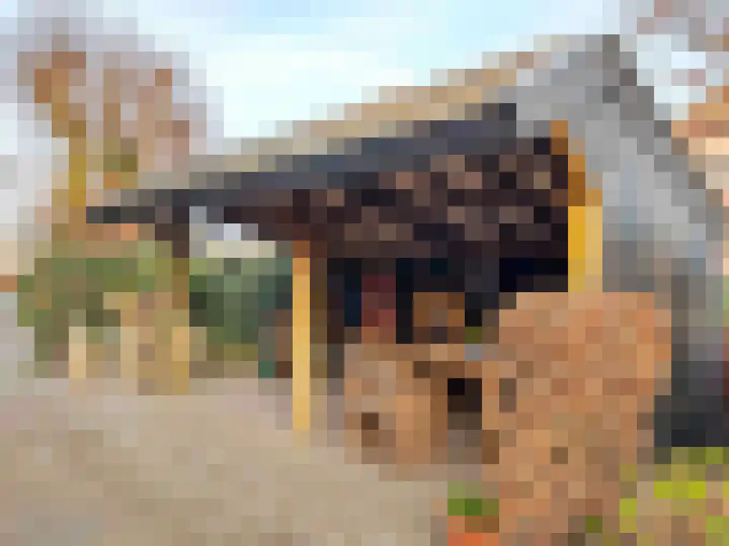van Elzenweg 1 Hegelsom thumbnail 10