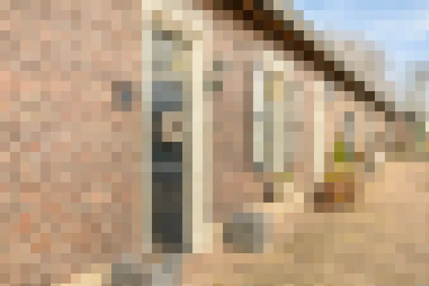 van Elzenweg 1 Hegelsom thumbnail 11