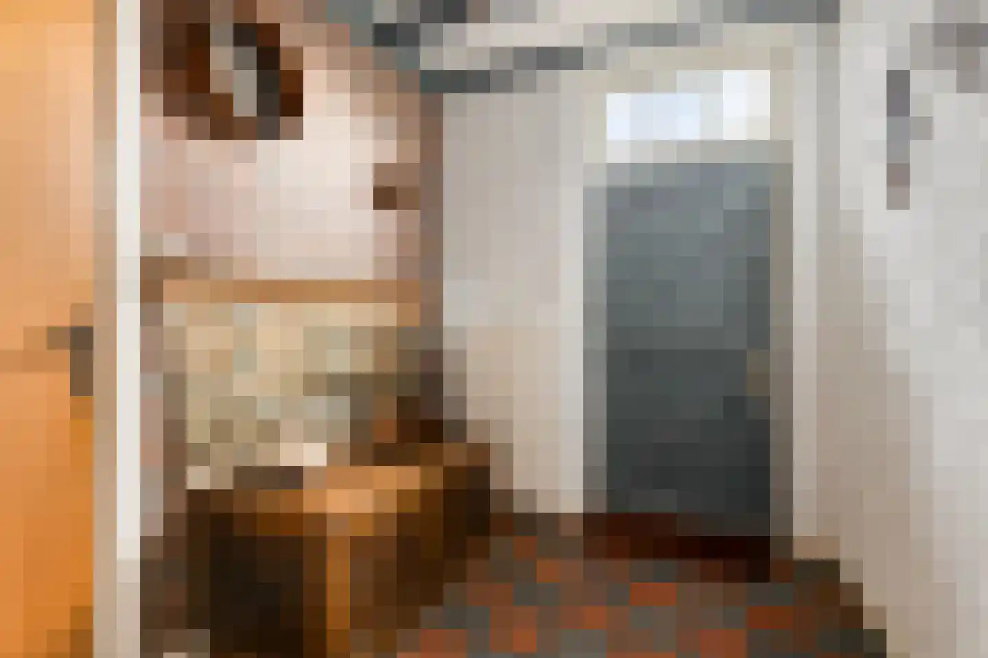 van Elzenweg 1 Hegelsom thumbnail 12