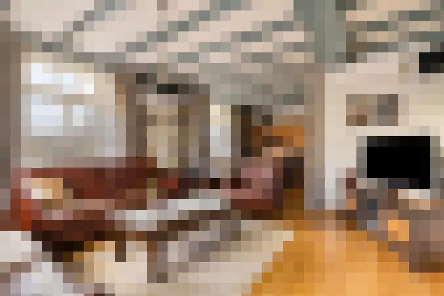van Elzenweg 1 Hegelsom thumbnail 14