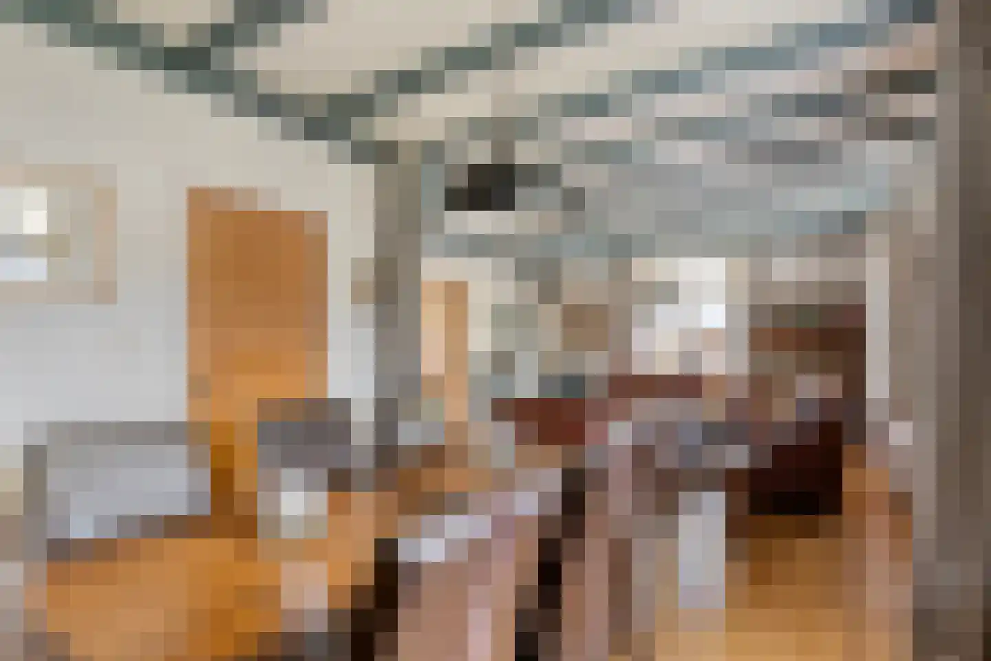 van Elzenweg 1 Hegelsom thumbnail 17