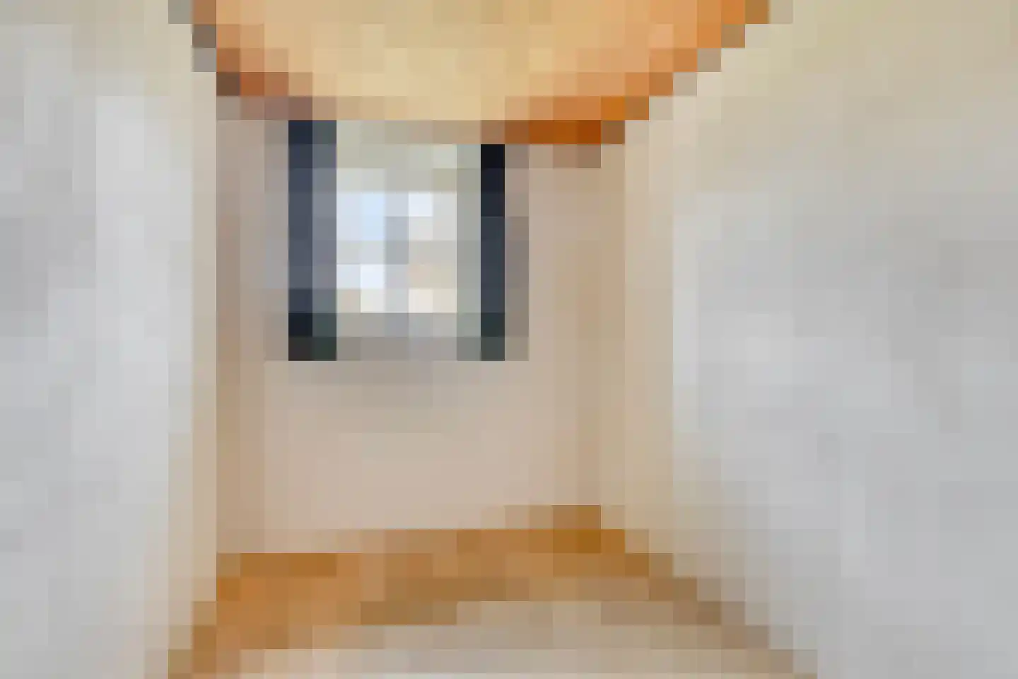 van Elzenweg 1 Hegelsom thumbnail 18