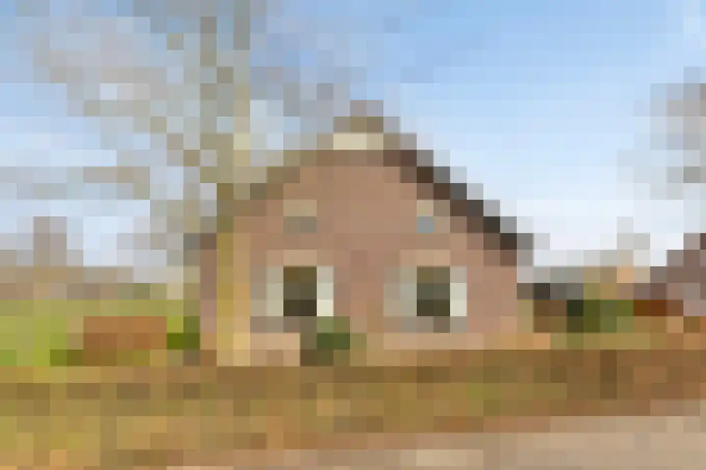 van Elzenweg 1 Hegelsom foto 2