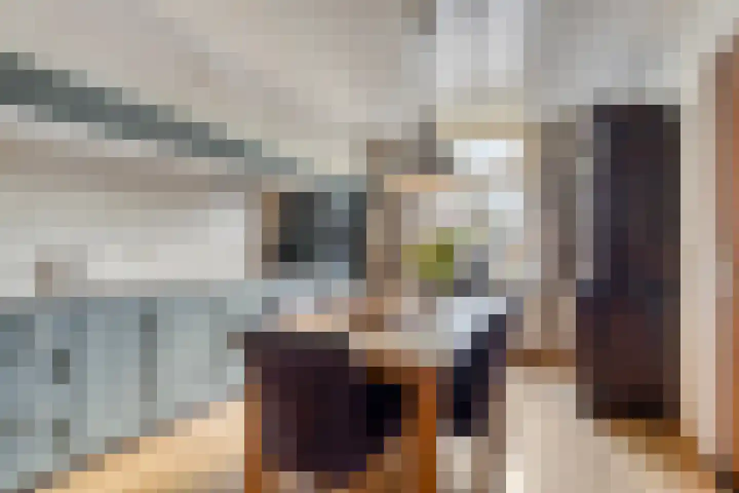van Elzenweg 1 Hegelsom thumbnail 20