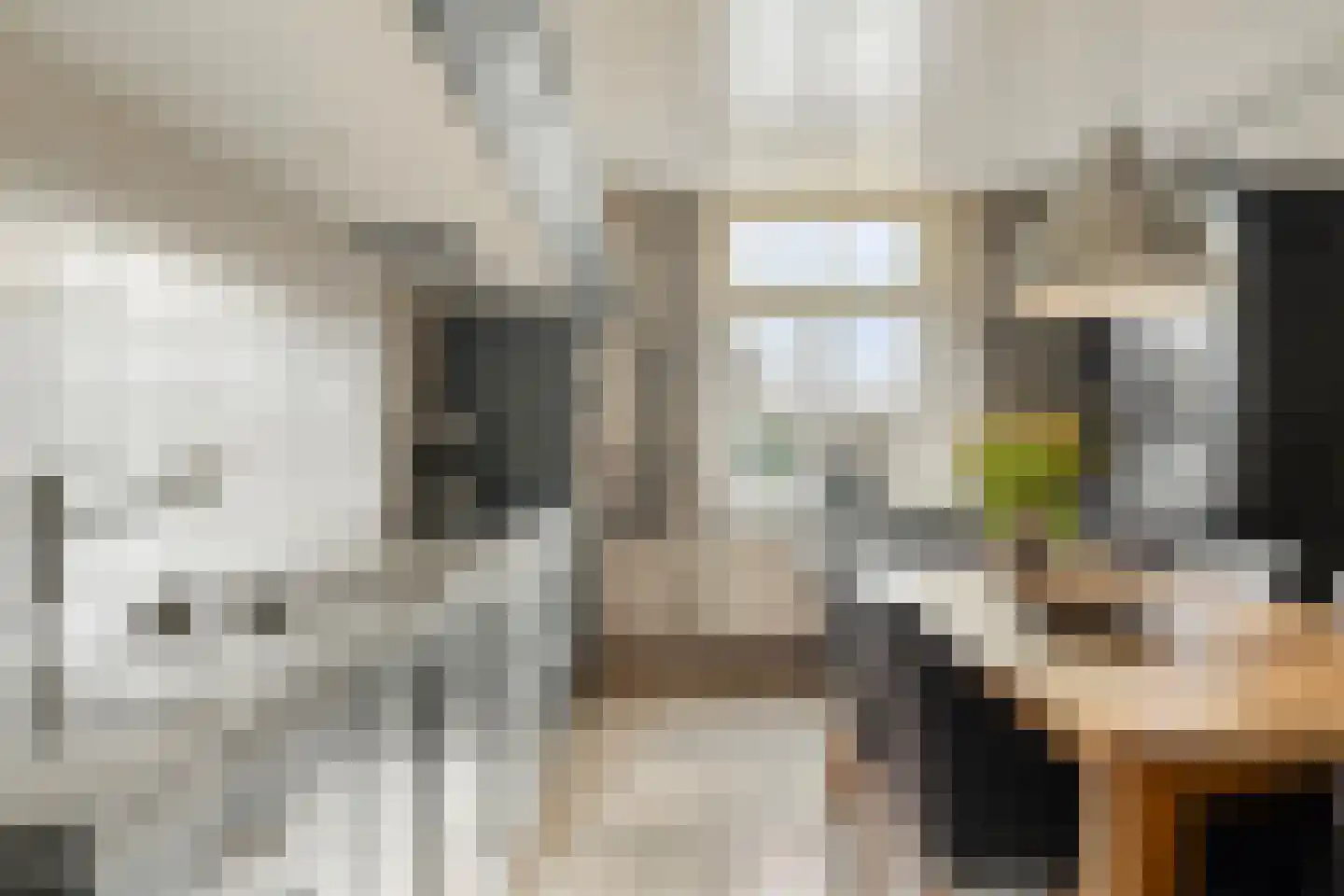 van Elzenweg 1 Hegelsom thumbnail 21