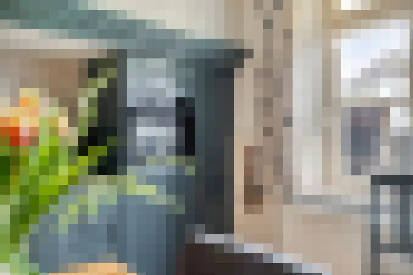 van Elzenweg 1 Hegelsom thumbnail 22