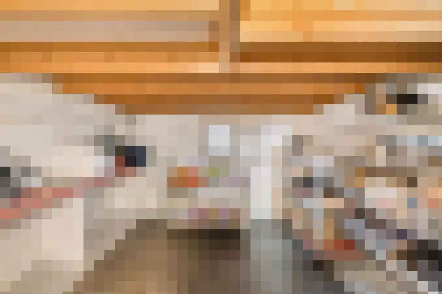 van Elzenweg 1 Hegelsom thumbnail 28