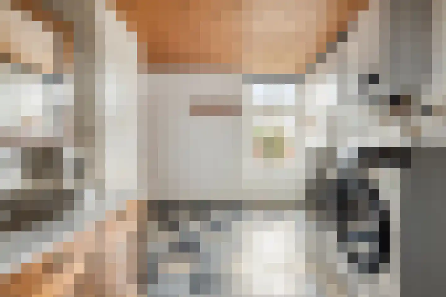 van Elzenweg 1 Hegelsom thumbnail 30