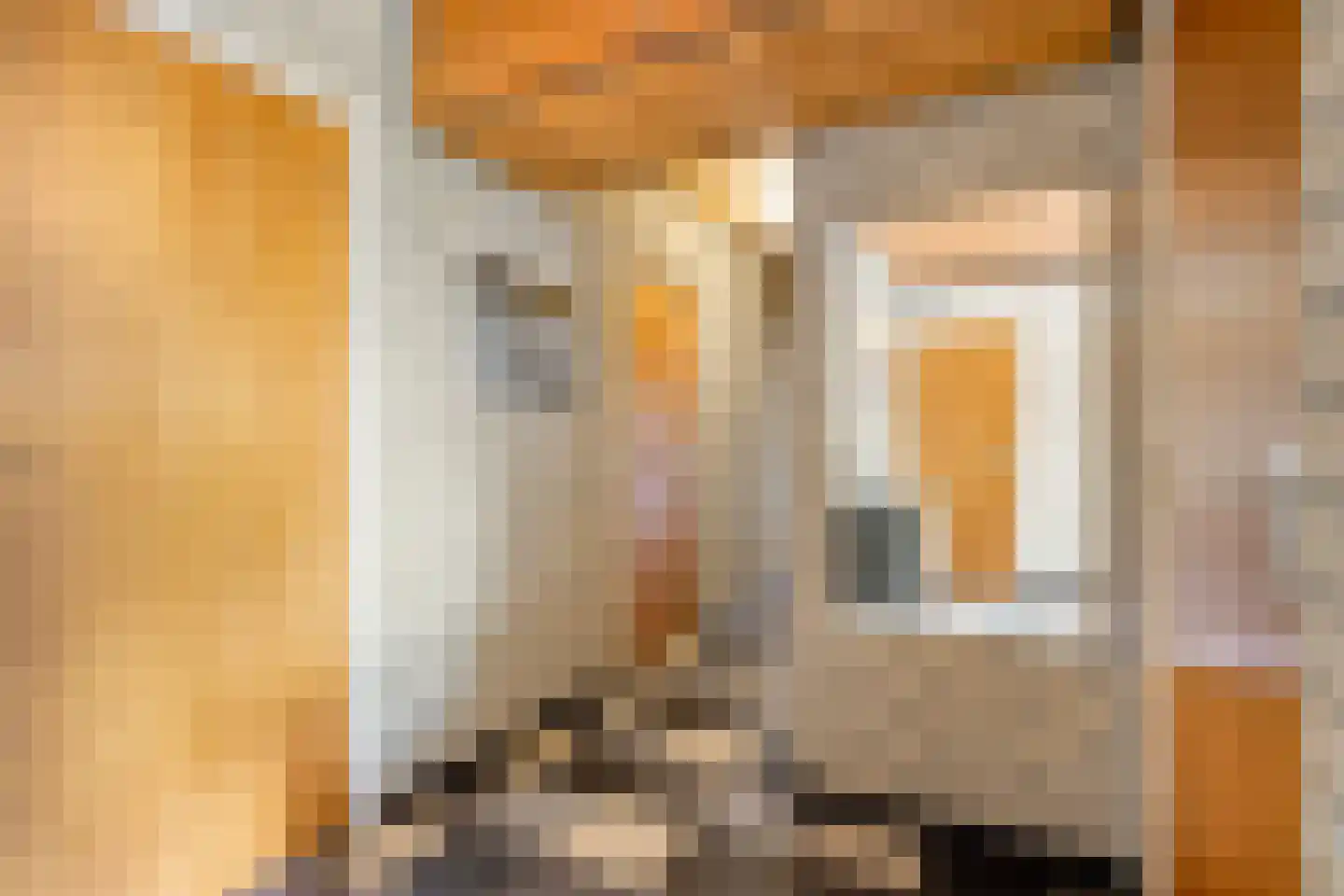 van Elzenweg 1 Hegelsom thumbnail 32