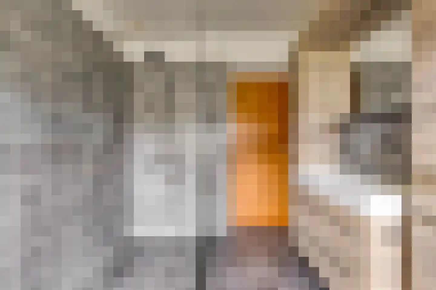 van Elzenweg 1 Hegelsom thumbnail 37