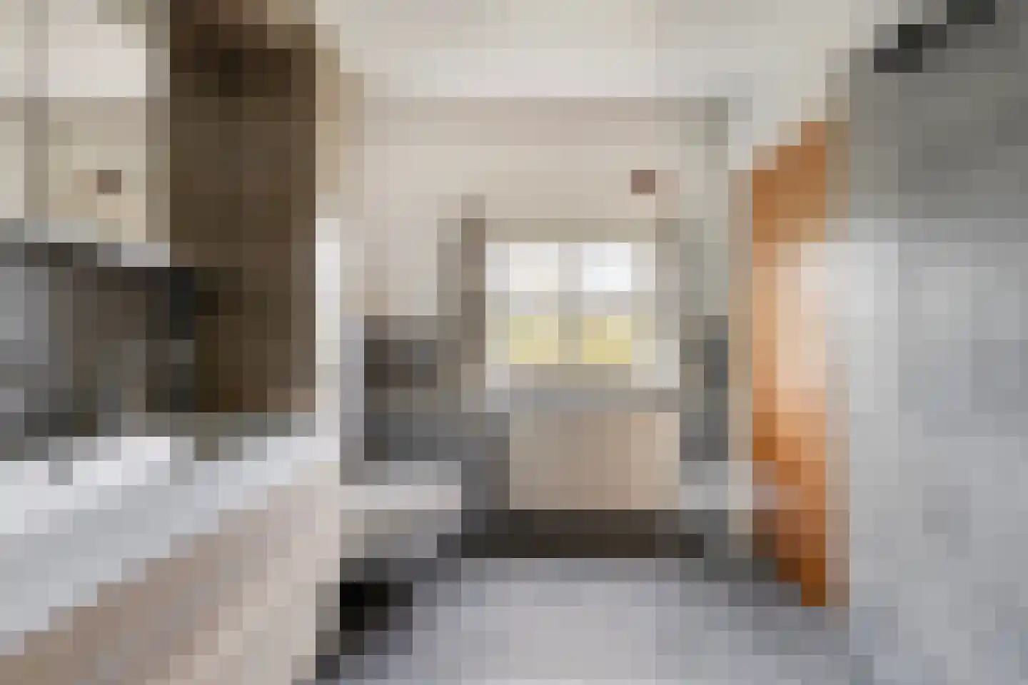 van Elzenweg 1 Hegelsom thumbnail 39