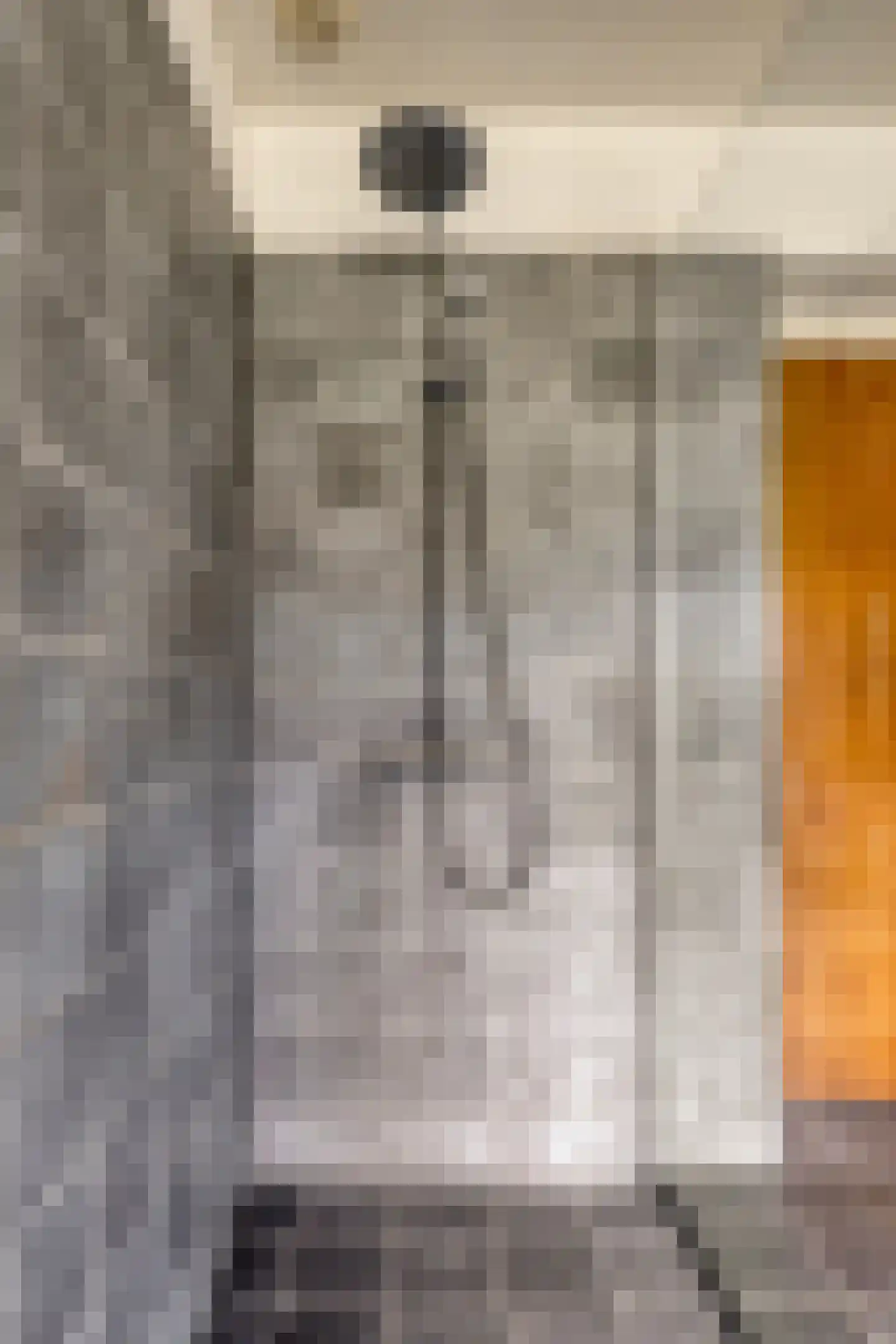 van Elzenweg 1 Hegelsom thumbnail 40