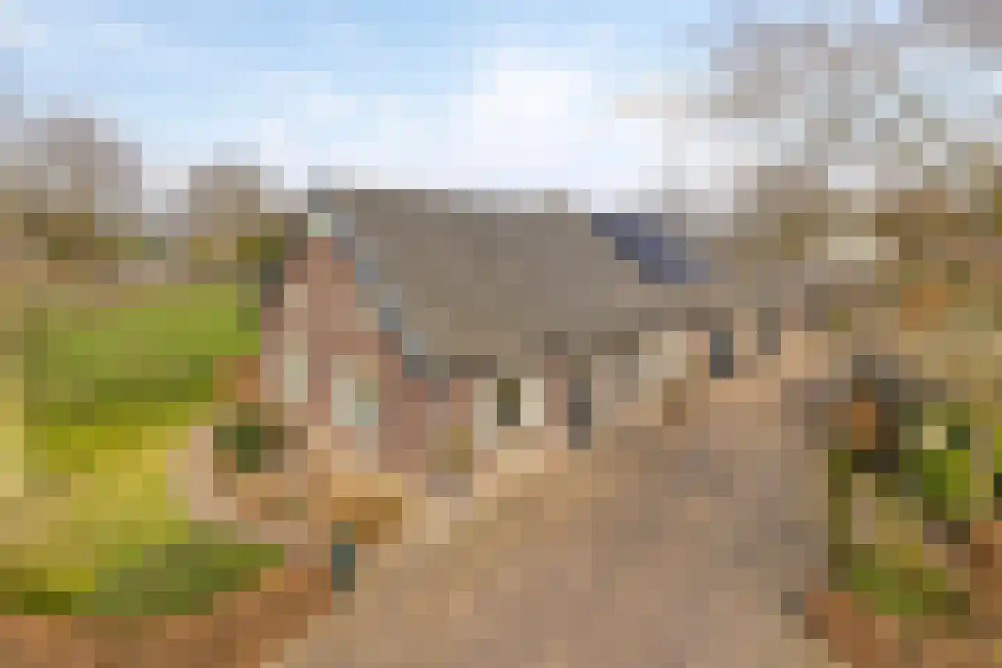 van Elzenweg 1 Hegelsom thumbnail 5