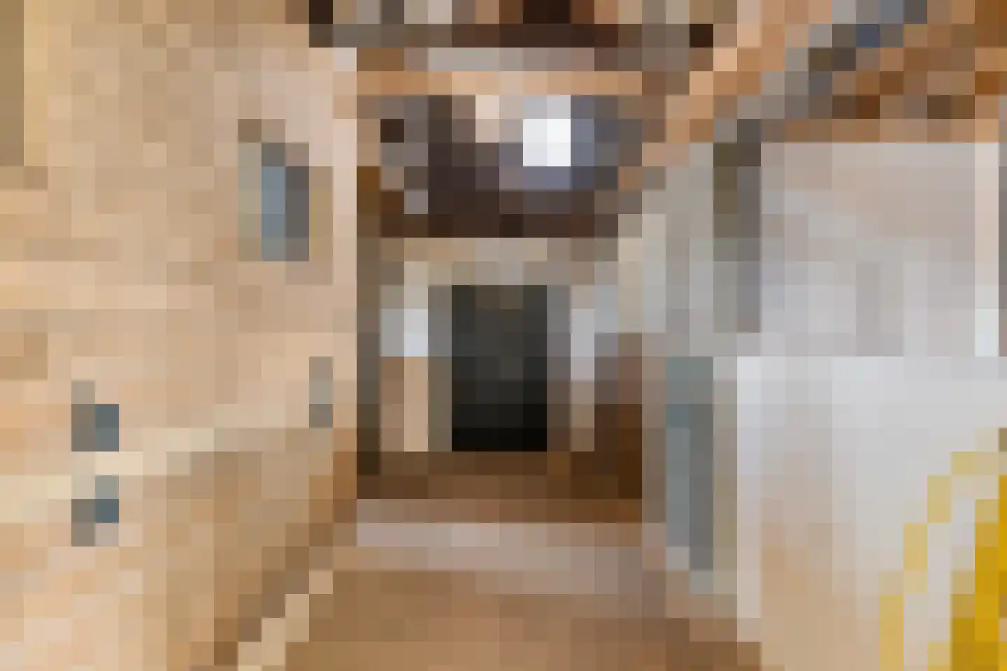 van Elzenweg 1 Hegelsom thumbnail 50