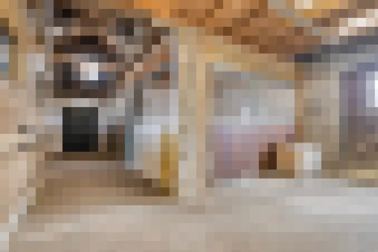 van Elzenweg 1 Hegelsom thumbnail 51