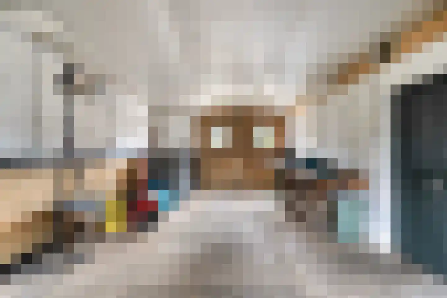 van Elzenweg 1 Hegelsom thumbnail 52