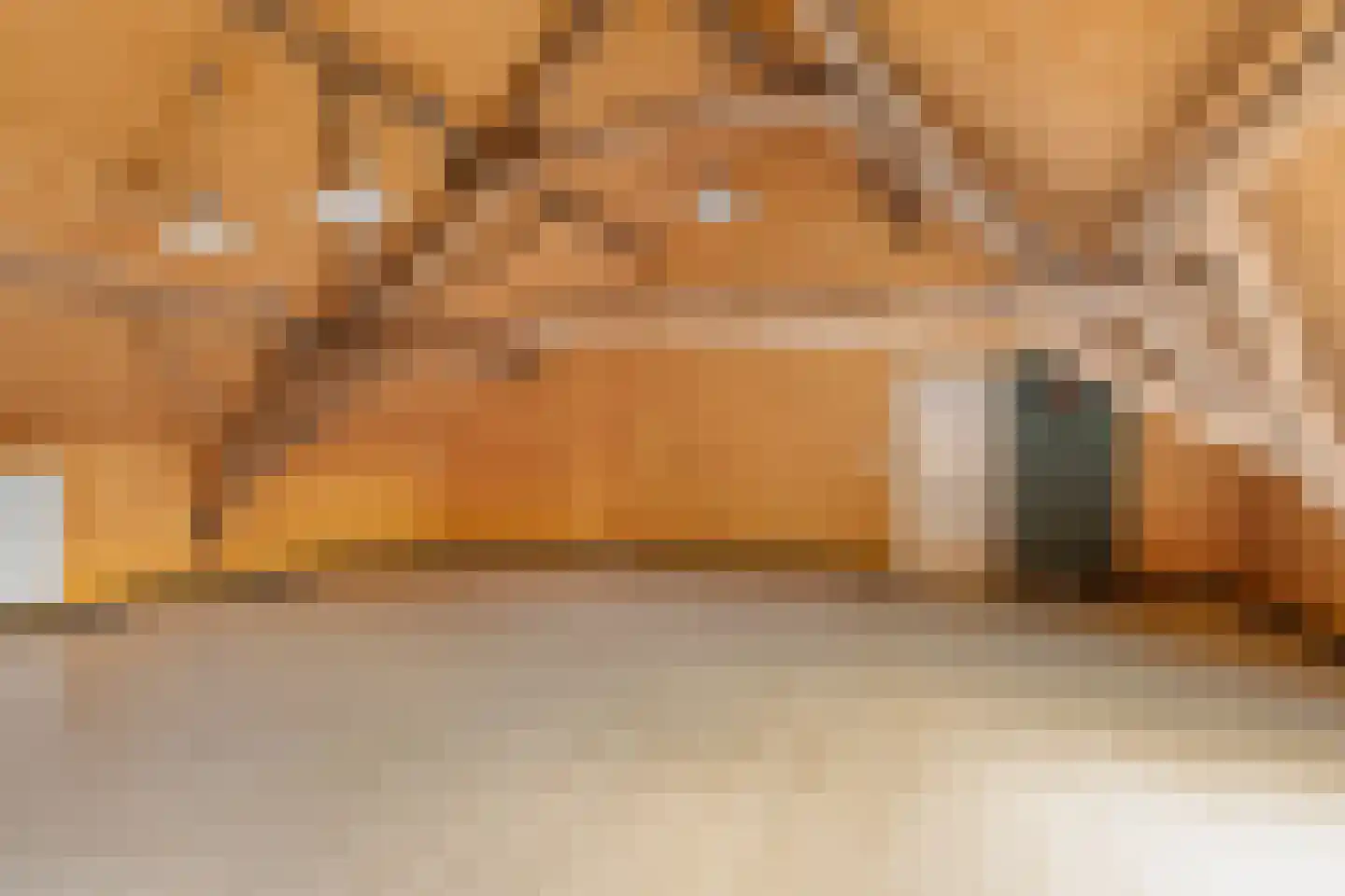 van Elzenweg 1 Hegelsom thumbnail 58