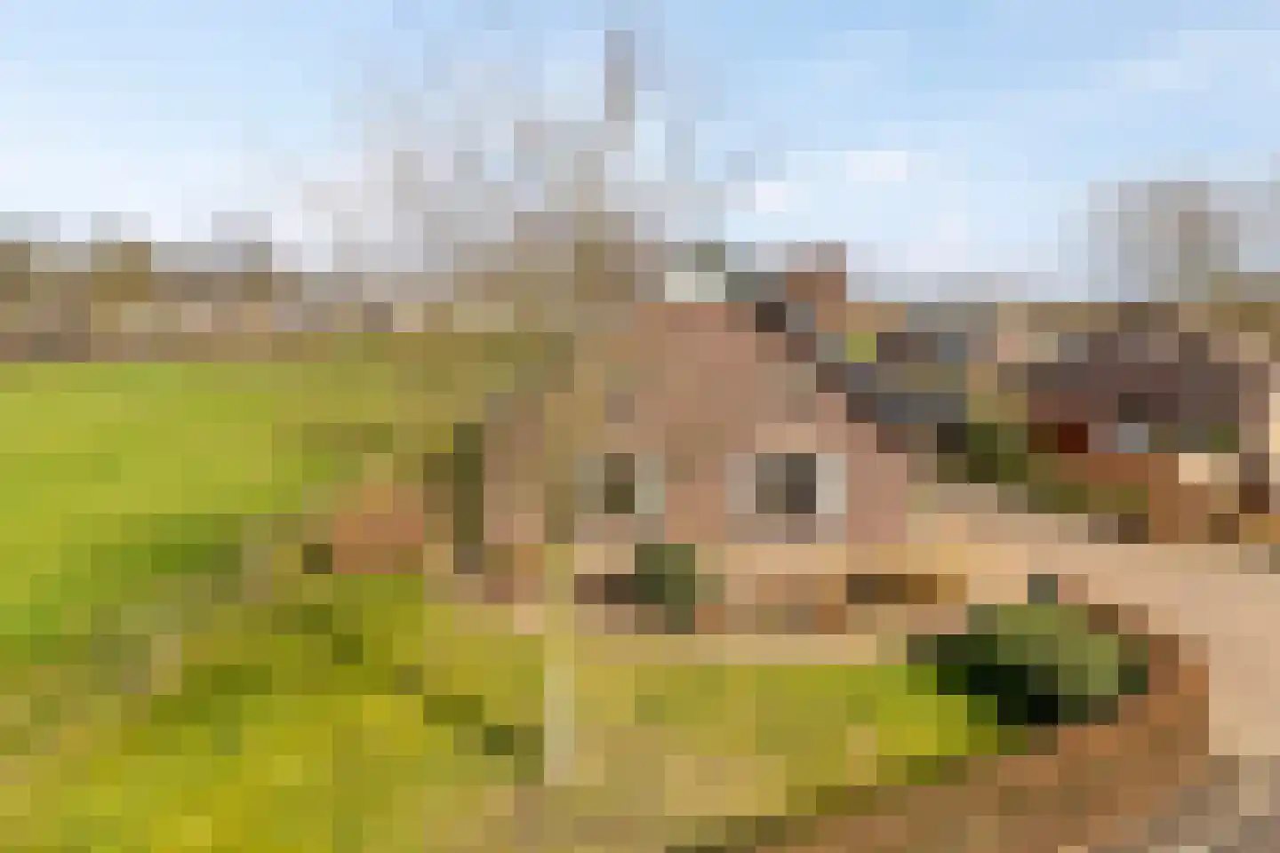 van Elzenweg 1 Hegelsom thumbnail 6