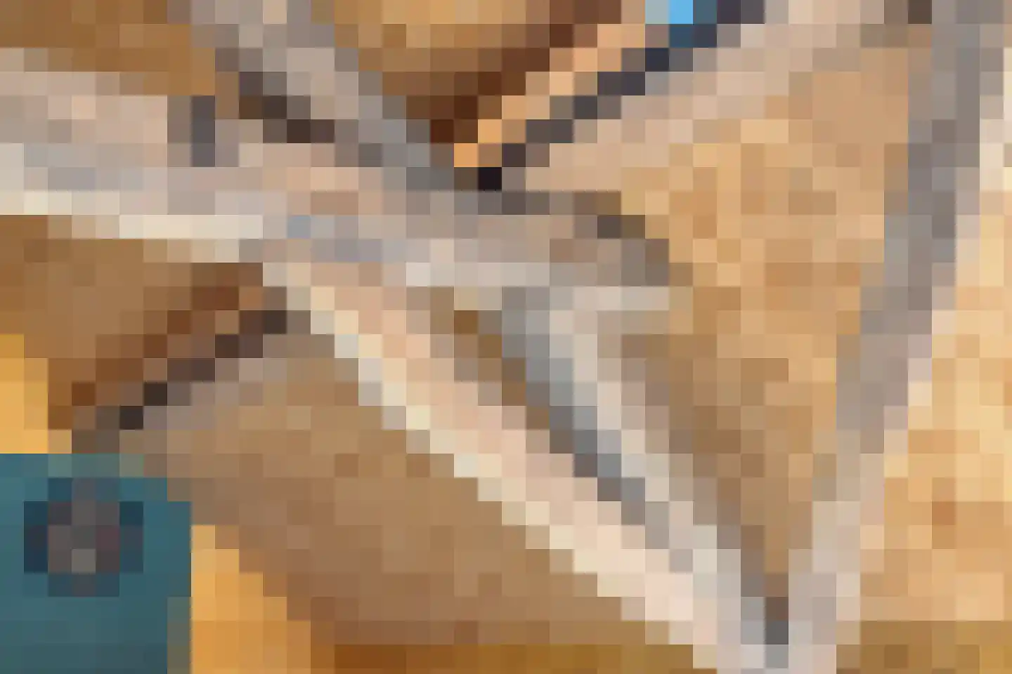 van Elzenweg 1 Hegelsom thumbnail 60