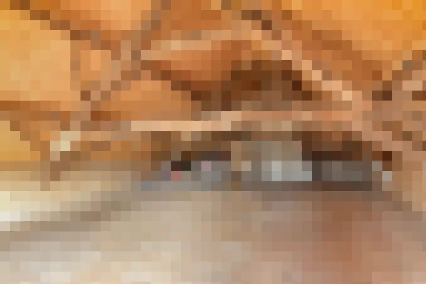 van Elzenweg 1 Hegelsom thumbnail 62