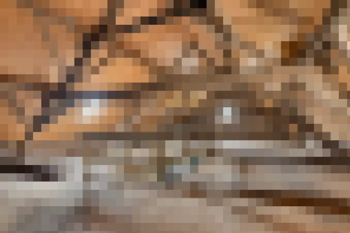 van Elzenweg 1 Hegelsom thumbnail 63