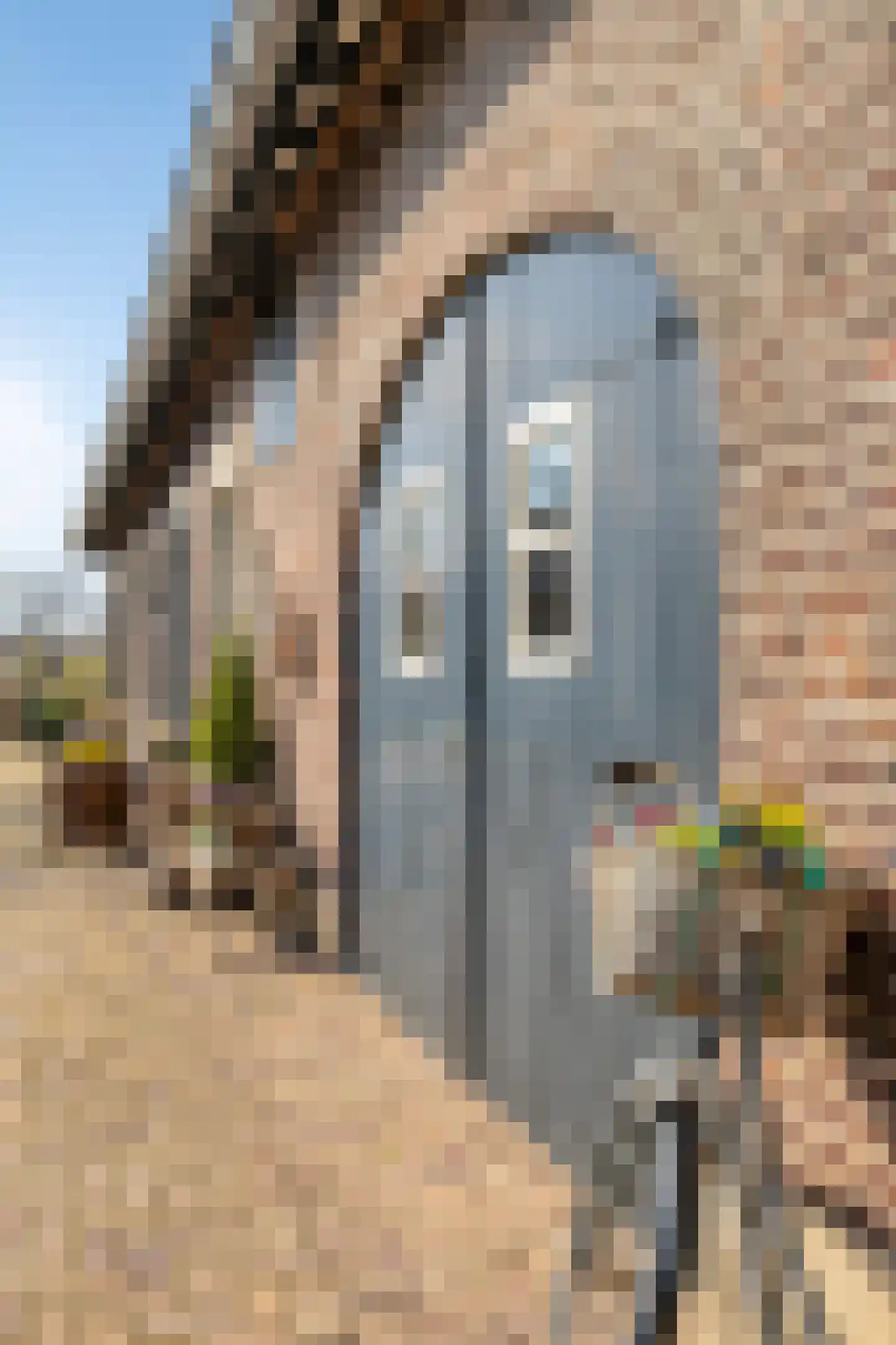 van Elzenweg 1 Hegelsom thumbnail 64
