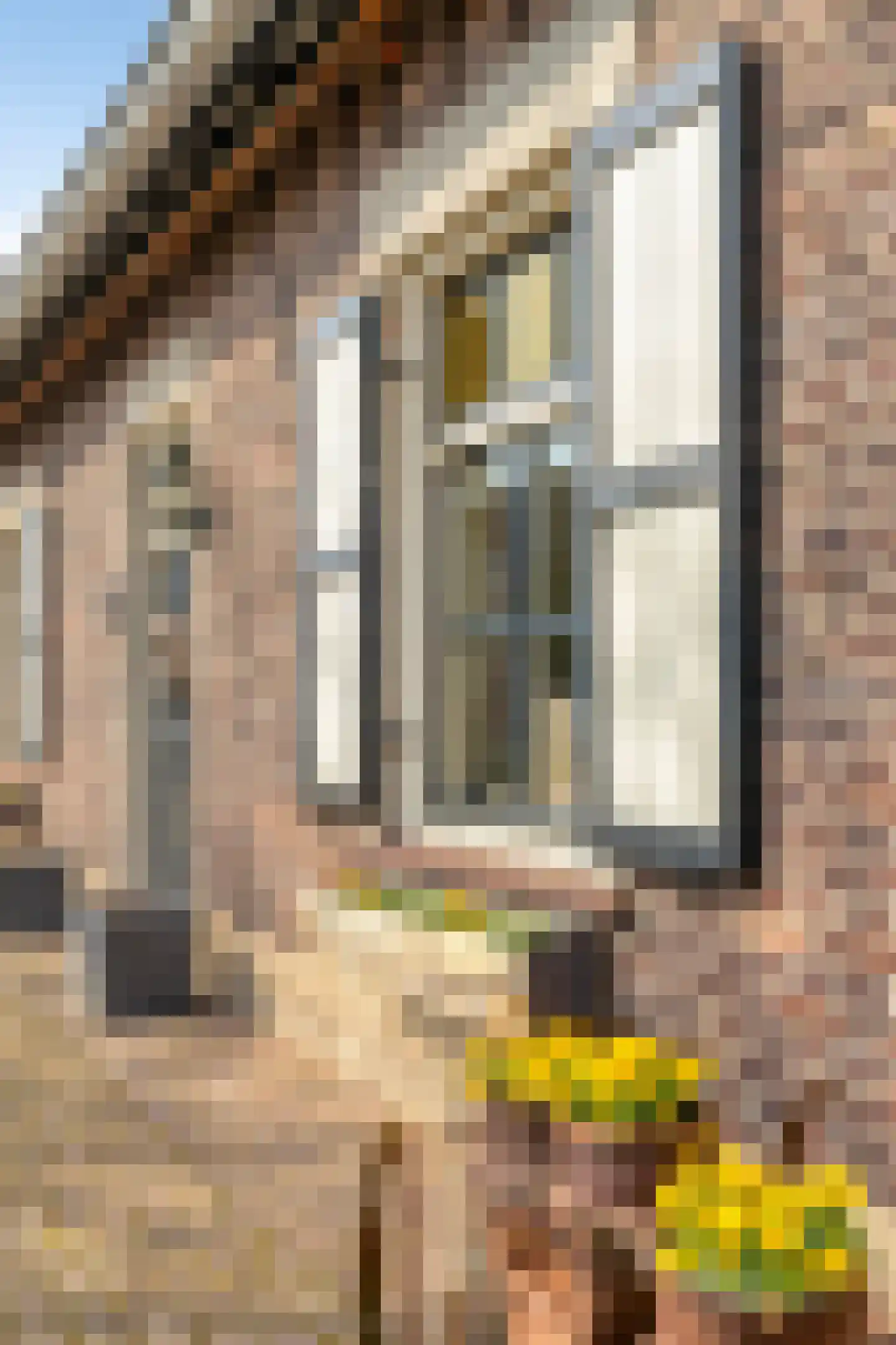 van Elzenweg 1 Hegelsom thumbnail 65