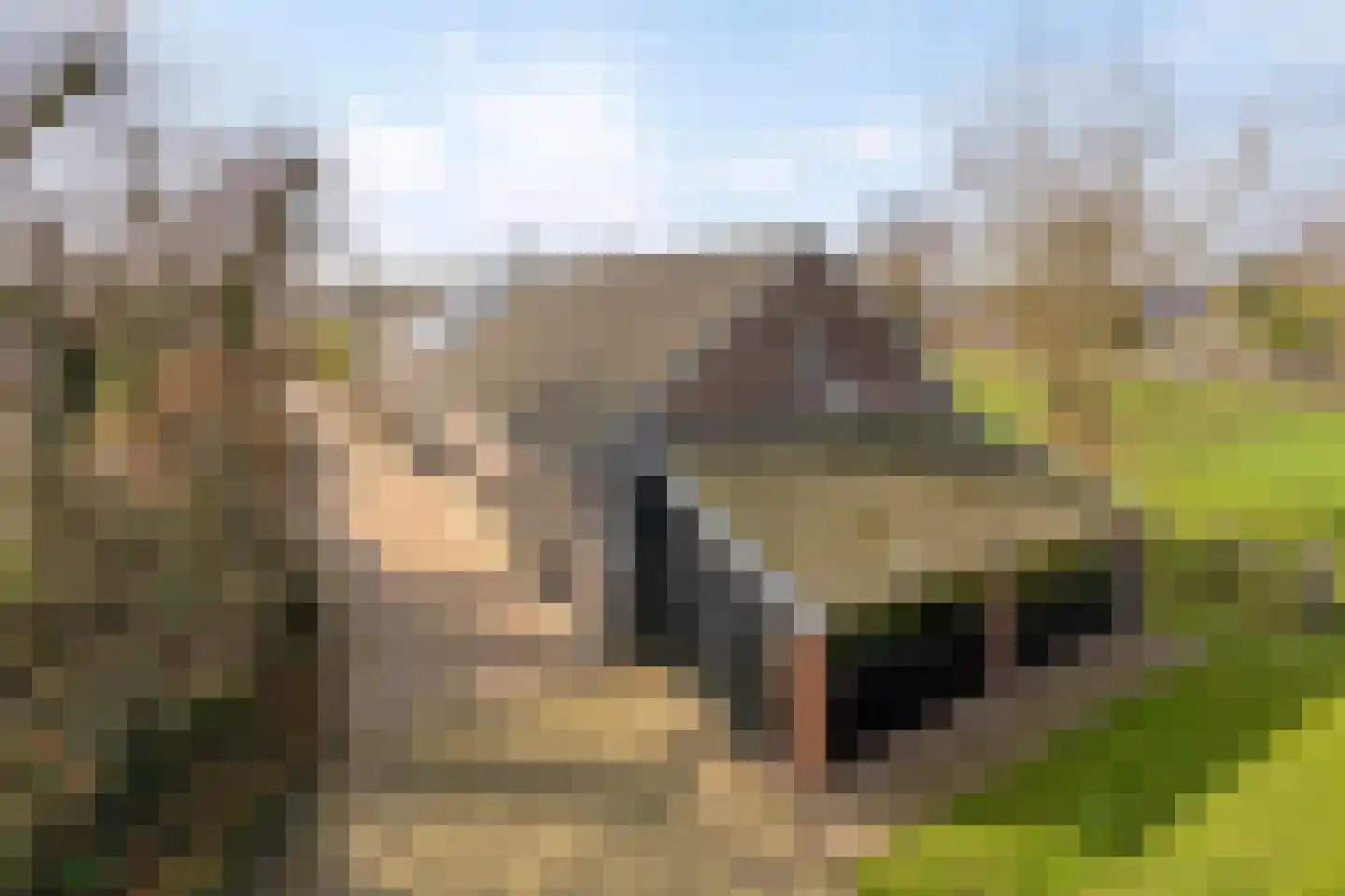 van Elzenweg 1 Hegelsom thumbnail 66