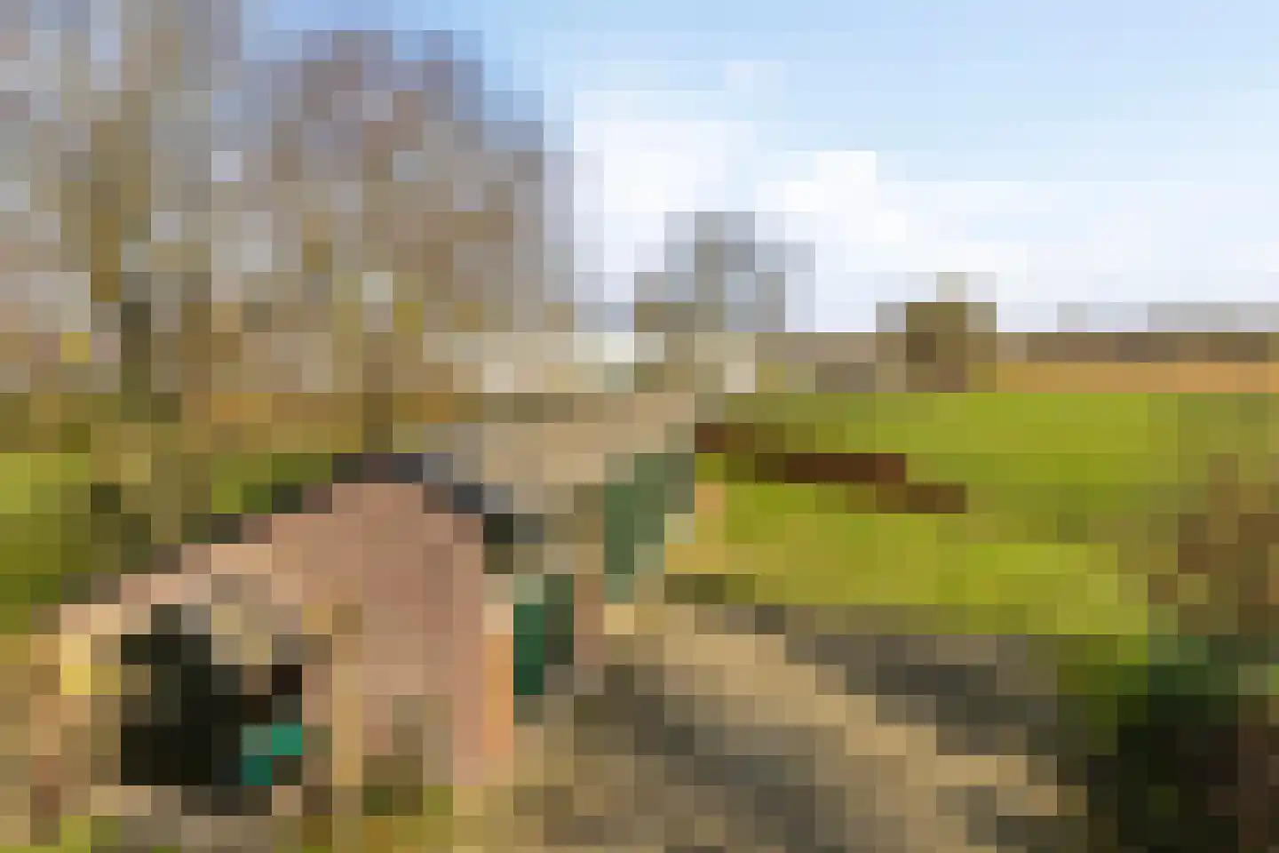 van Elzenweg 1 Hegelsom thumbnail 68