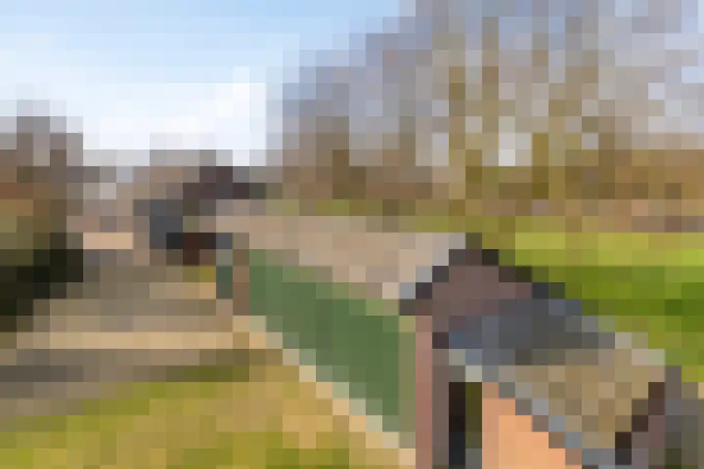 van Elzenweg 1 Hegelsom thumbnail 69