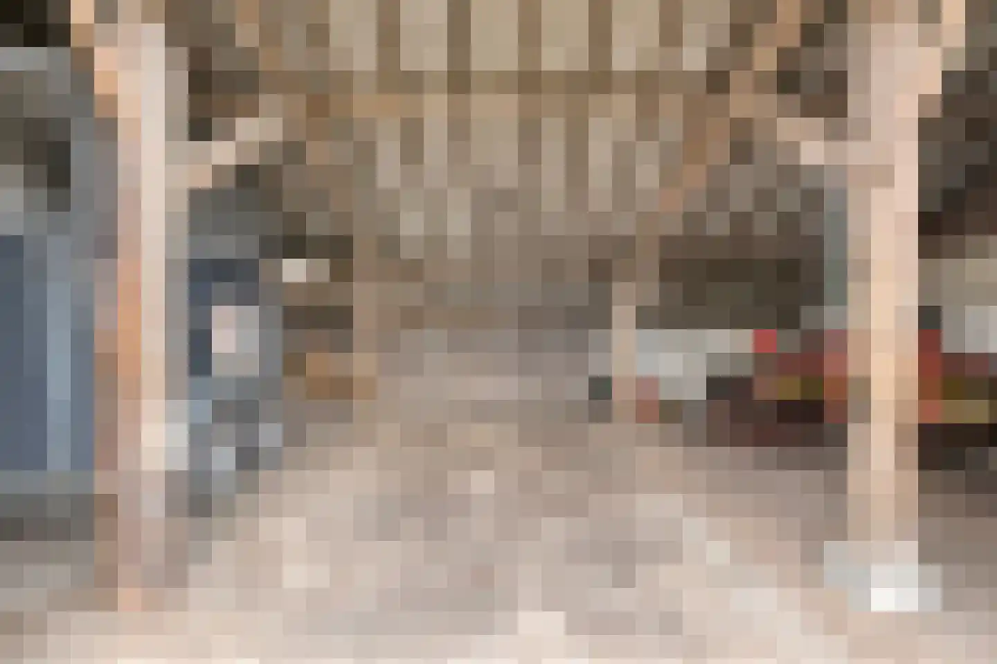 van Elzenweg 1 Hegelsom thumbnail 71