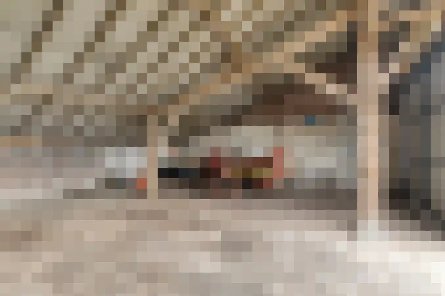 van Elzenweg 1 Hegelsom thumbnail 72