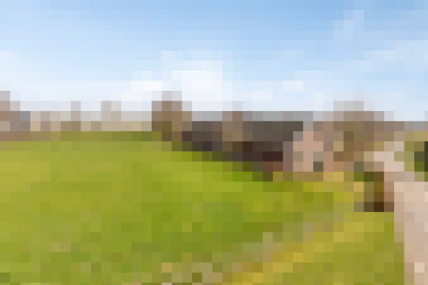 van Elzenweg 1 Hegelsom thumbnail 8