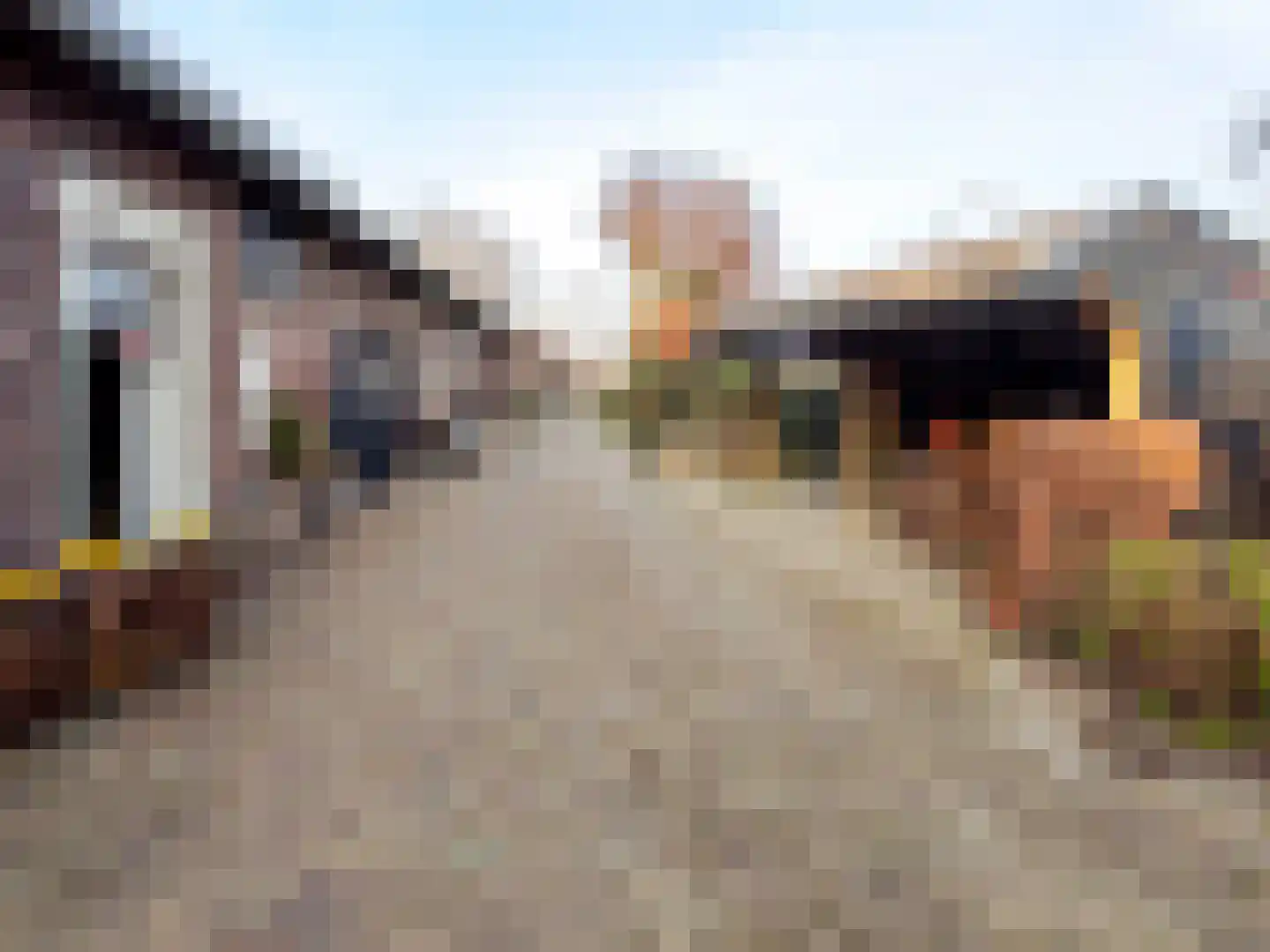 van Elzenweg 1 Hegelsom thumbnail 9
