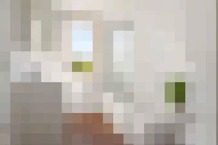 Van Embdenruimte 45 Zoetermeer thumbnail 18